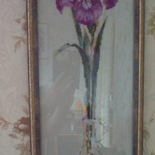 Работа «Ирис»