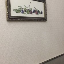 Работа «Lusy-S»