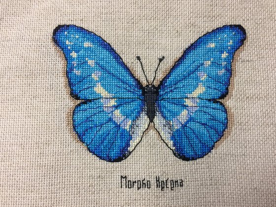 Работа «Бабочка от фирмы Рукодельные забавы.»
