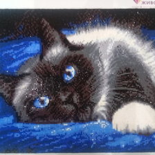 Работа «алмазная мозаика "Сиамская красавица"»