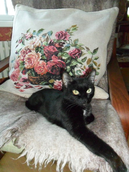 Работа «Подушка»