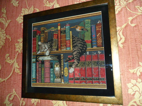 Работа «Котик спит, среди книг о рыбках.»