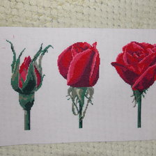 Работа «Трио роз»
