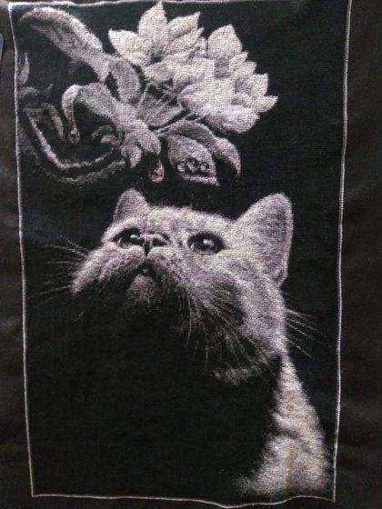 Работа «Котик і магнолія»