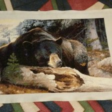 Работа «Страна черного медведя»