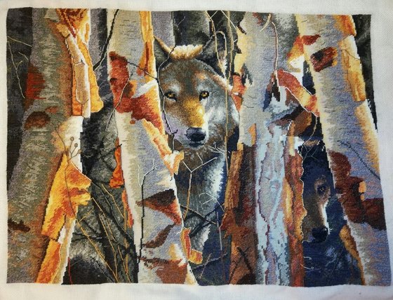 Работа «"Страж"  Dimensions»