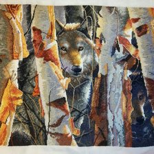 Работа «"Страж"  Dimensions»