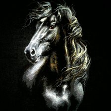 Работа «"Ветер в гриве"»