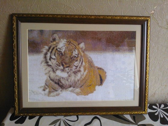 Работа «№75897»