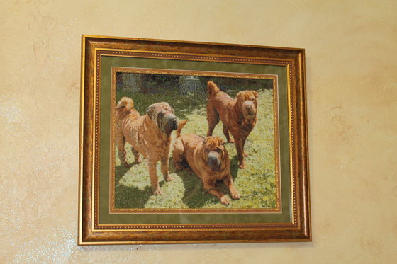 Работа «мои шарпеи»