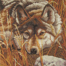 Работа «Волк»