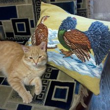 Работа «№76337»