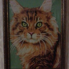 Работа «№76342»