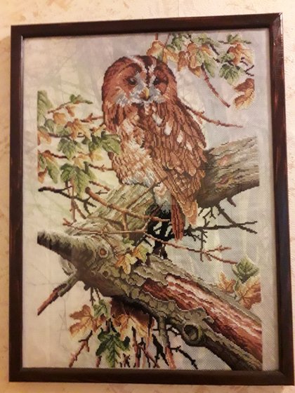 Работа «Сова»