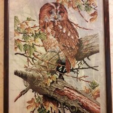 Работа «Сова»