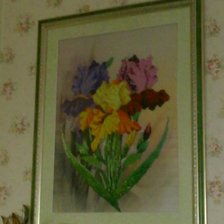 Работа «Ирисы»