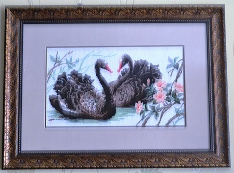 Работа «Черные лебеди»