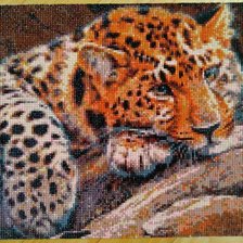 Работа «Леопард»