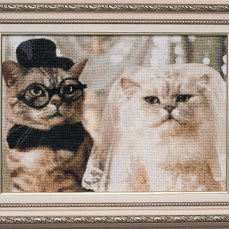 Работа «пара»