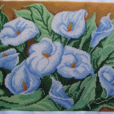 Работа «№76795»