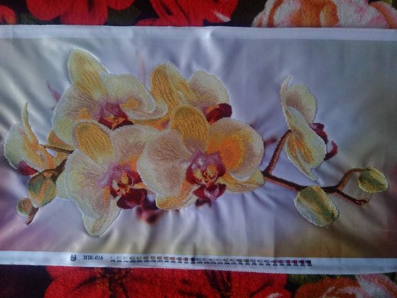 Работа «№76797»