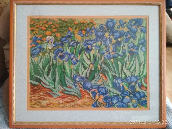 Работа «Ирисы Ван Гога»