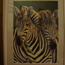 Работа «Зебры»
