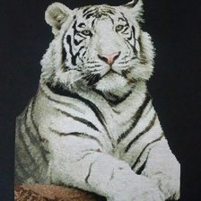 Работа «Белый тигр»