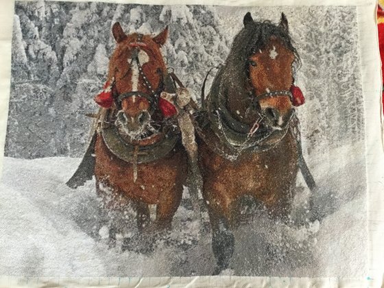 Работа «Парочка лошадей в упряжке»