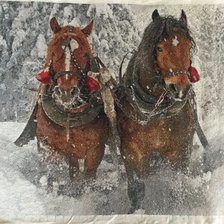 Работа «Парочка лошадей в упряжке»