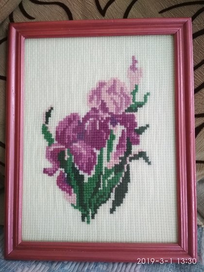 Работа «№77020»