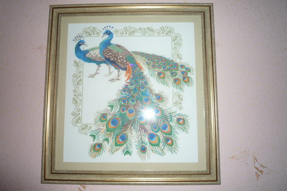 Работа «павлины»