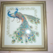 Работа «павлины»