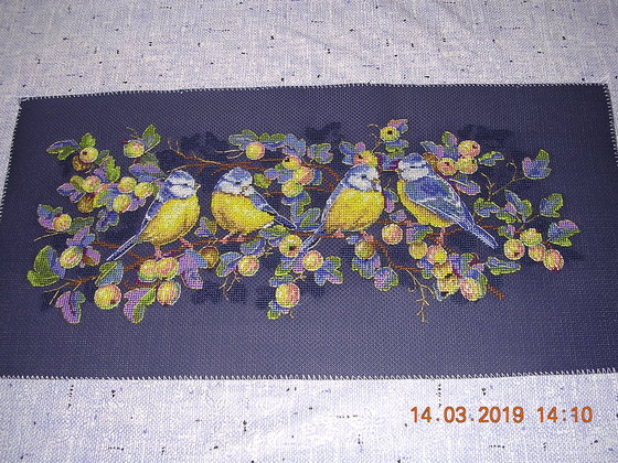 Работа «СИНИЧКИ»