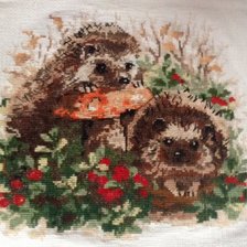 Работа «Ёжики от Риолис»