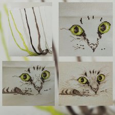 Работа «Мордашка»