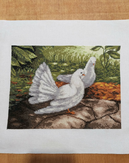 Работа «Голуби»