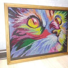 Работа «Радужный кот»