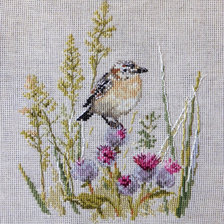 Работа «из серии птицы»