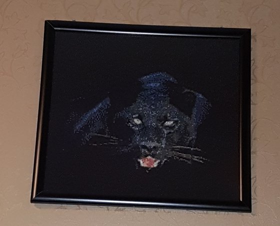 Работа «Пантера»