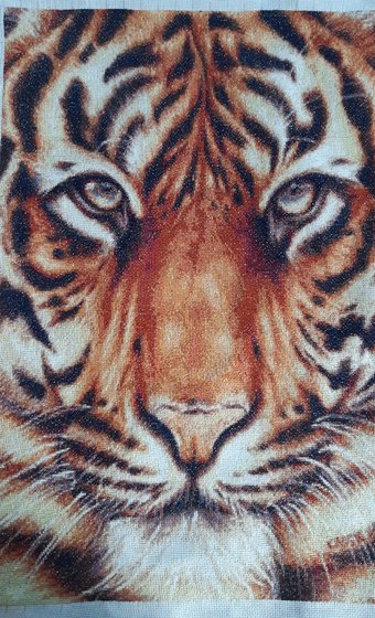 Работа «Тигр»