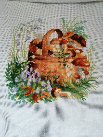 Работа «Риолис грибы»