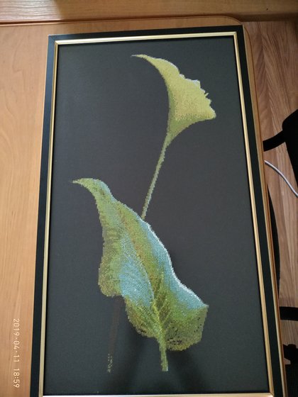 Работа «Иллюзия цветов3»