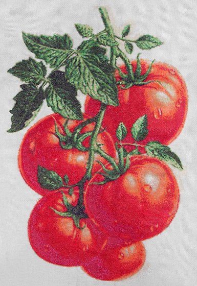 Работа «Помидорки»