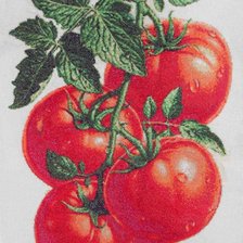 Работа «Помидорки»