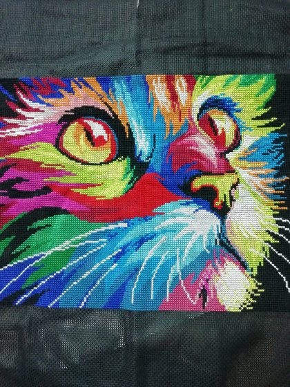 Работа «Котик»