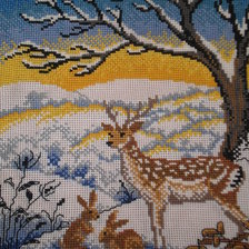 Работа «Природа»