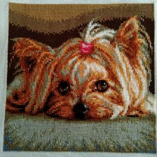 Работа «RTO Любимец»