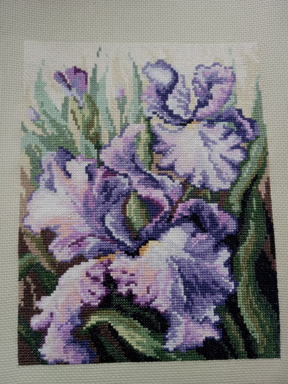 Работа «Пара ирисов»