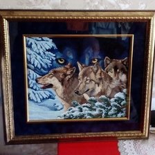 Работа «Волчий взгляд»